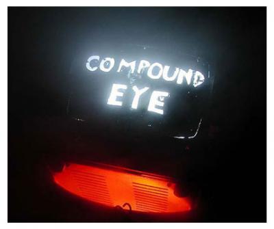 Oakland_California/Oakland_at_the_Compound_Eye/compmontr.jpg