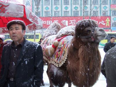 Xinjiang_PRC/Xinjiang_2006-2007/Urumqi/Street_Scenes/scenes_Urumqi_Winter/DSCF3756.jpg