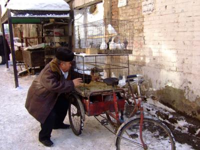 Xinjiang_PRC/Xinjiang_2006-2007/Urumqi/Street_Scenes/scenes_Urumqi_Winter/DSCF3856.jpg