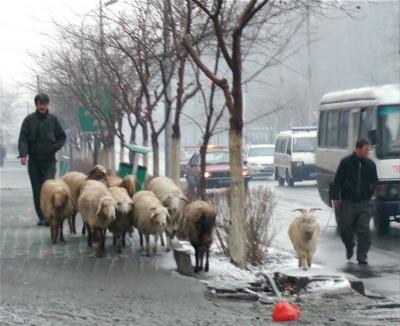 Xinjiang_PRC/Xinjiang_2006-2007/Urumqi/Street_Scenes/scenes_Urumqi_various/DSCF3635.jpg