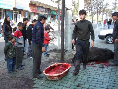 Xinjiang_PRC/Xinjiang_2006-2007/Urumqi/Street_Scenes/scenes_Urumqi_various/Yak_Shack/DSCF3338.jpg